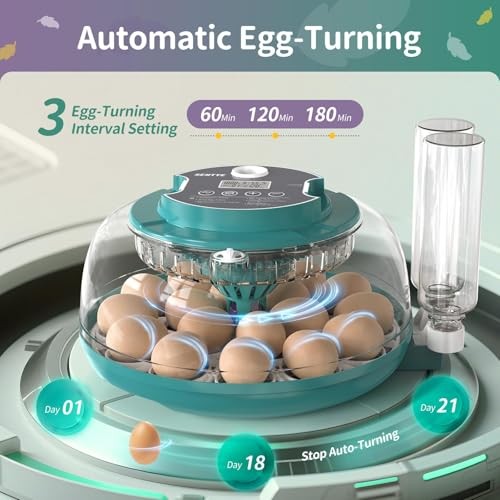 Automatic Egg Hatcher with LED Screen, Large Egg Incubator with Adjustable