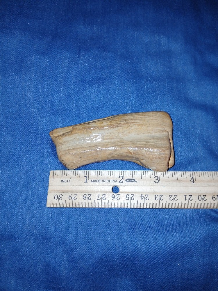3.5 oz Texas Petrified Wood