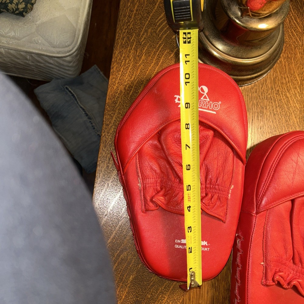 DANRHO Focus Punching Mitt