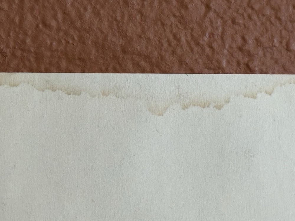 Original Atari GAUNTLET backdoor Sheet