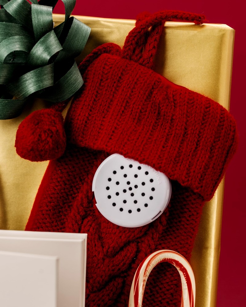60 Second Multi-Message Voice Recorder, Record Custom Messages for Plush Toy,...