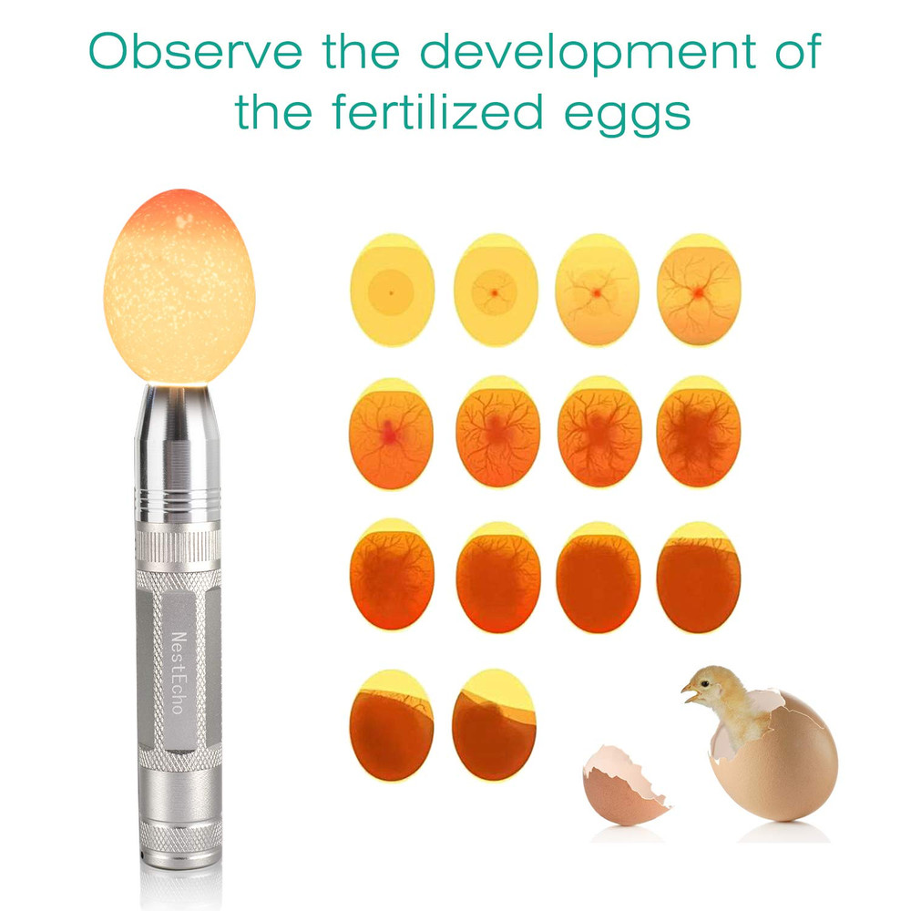 Egg Candler Light Egg Candler Candling Lamp for All Egg Typy