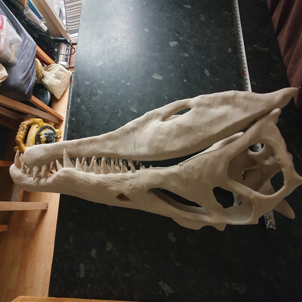 Spinosaurus Dinosaur Large Replica Skull
