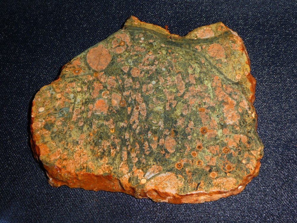 Washington Rain Forest Jasper 4 3/4" x 4" rough -cabbing-display science