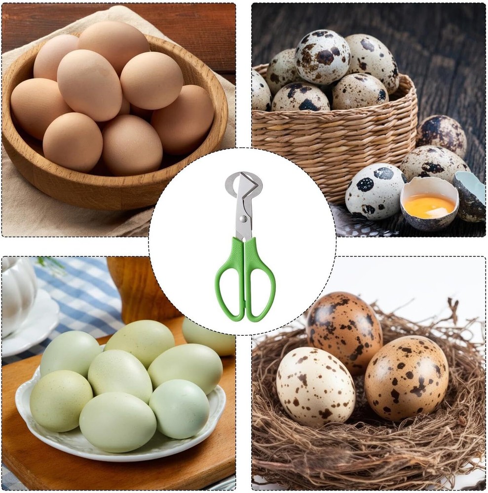 2Pcs Quail Egg Roast egg scissors Cutter Scissors Kitchen Egg Shears Tool(Green)