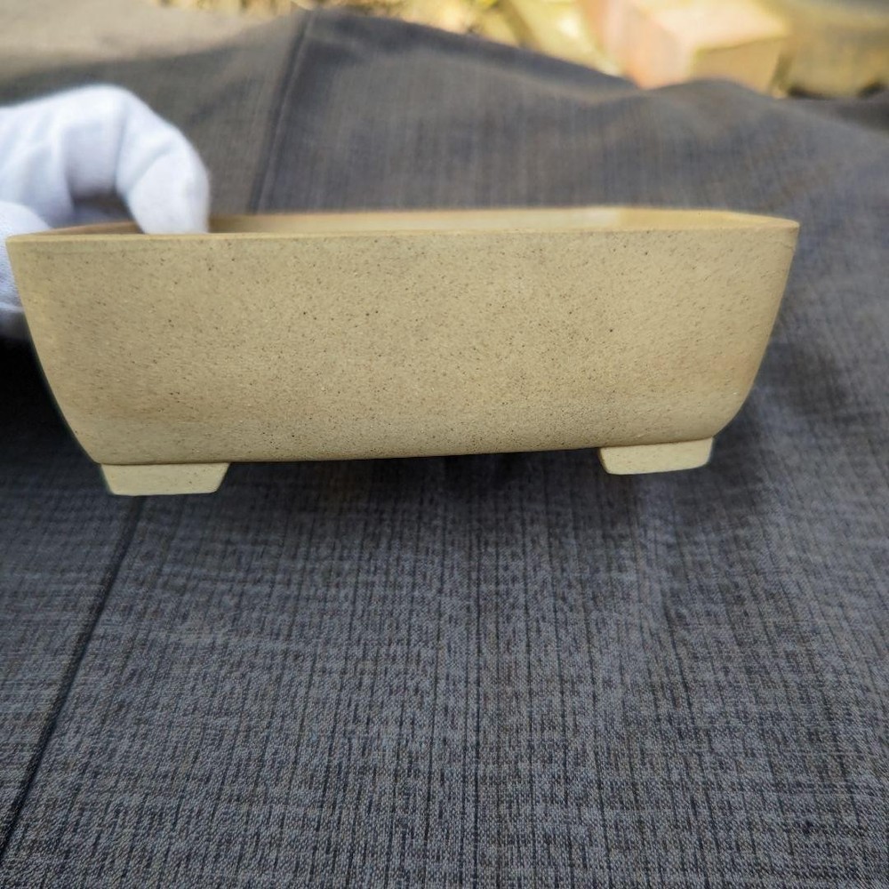 Rectangular Pottery Bonsai Pot Beige Japanese Art Shape Miniature Tree Container