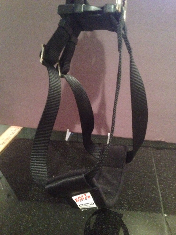 Easy Rider Dog car harness MEDIUM