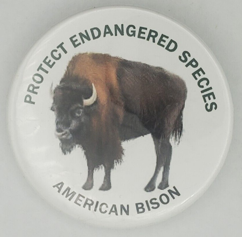Vintage Protect Endangered Species American Bison Pinback Button