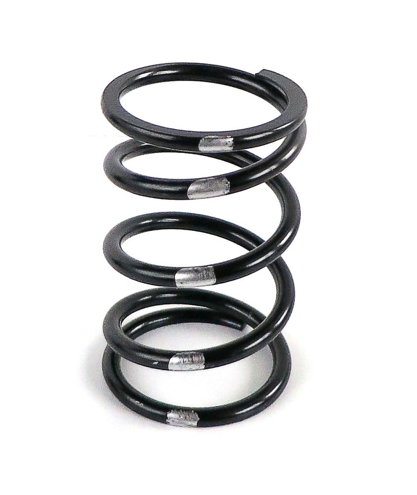 EPI Primary Drive Clutch Spring - Black/Silver - PATV17