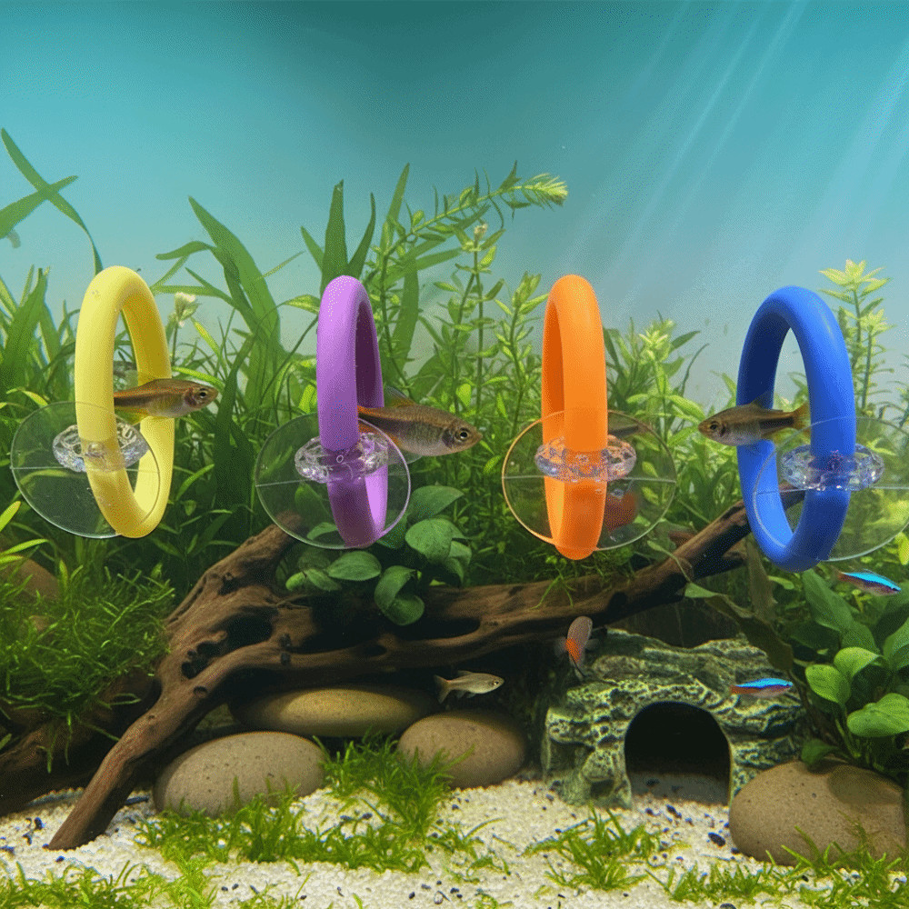 4PCS/SET Waterproof Fish Training Ring Betta Training Circle Decorative Purpose