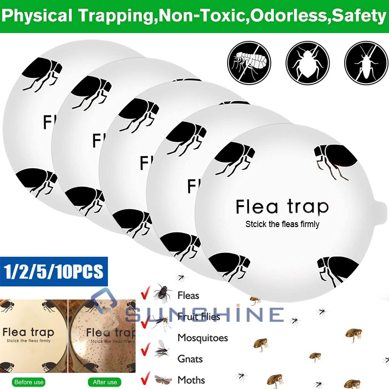Flea Trap Refill Glue Discs Boards Replacement Sticky Pads Gnat Bed Bug Traps