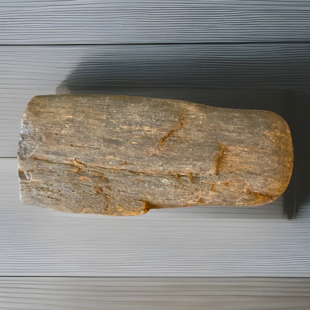 Petrified Wood