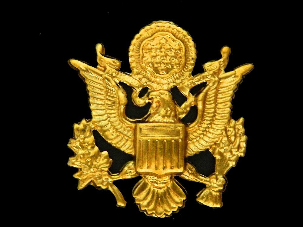 American Eagle / Medium Ornate Vintage Brass Stamping / 1 Piece