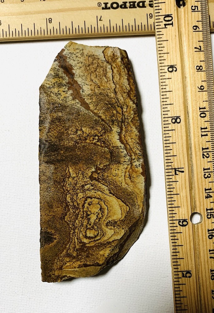 african queen picture jasper