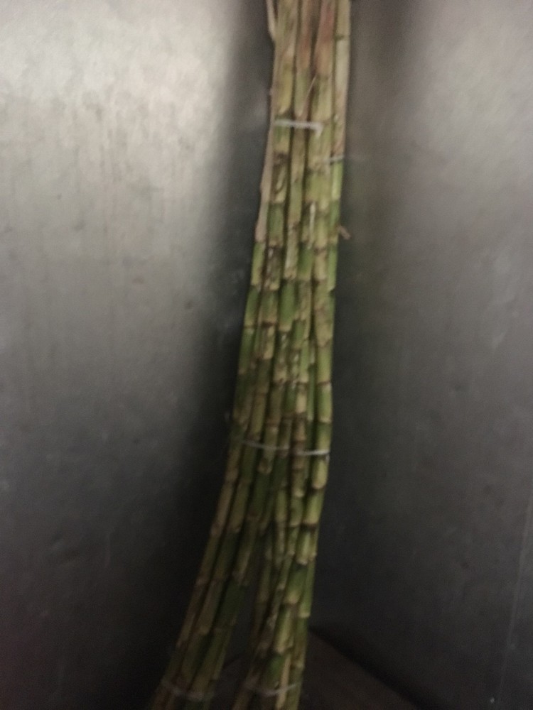 Fresh Sugar Cane (15 lbs)  The Actual Fruit