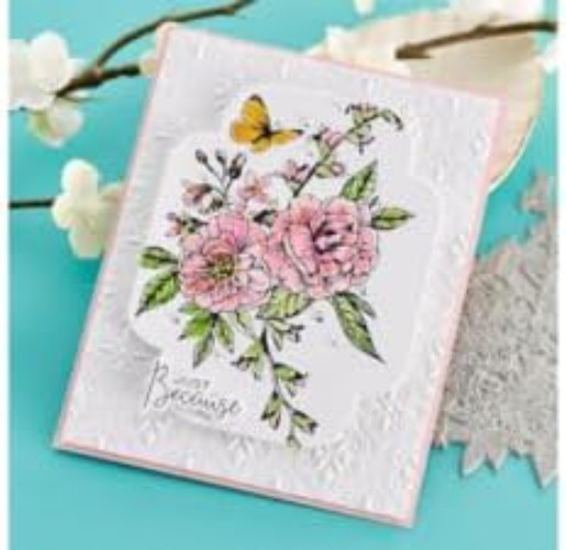 BetterPress Letterpress System for Cardmaking=