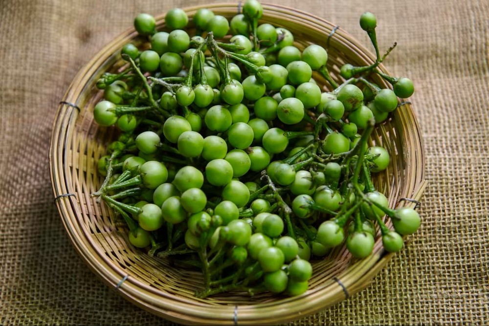 Authentic Thai Pea Eggplant (20 Seeds)