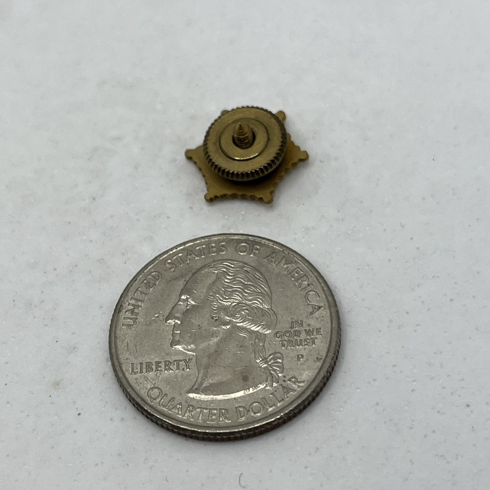 Fraternal Order Of Eagles Veteran Organization State Lapel Hat Pin