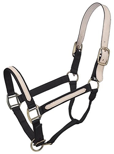 Break-away Halter, Black, Horse