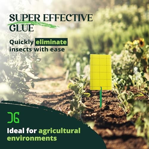 Catchmaster Double Sided Sticky Traps 72PK, Pest Control for Home, Farm