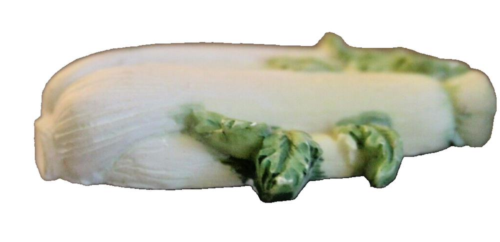 Celery stalk vintage refrigerator magnet