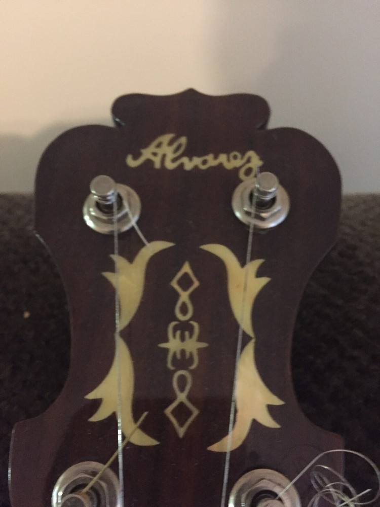 Alvarez 5 string banjo with hard case