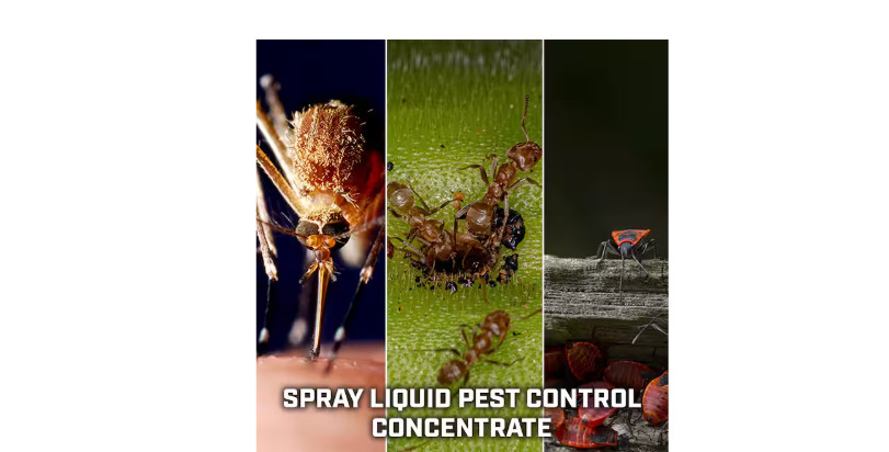 6 Gal. Insecticide Hose End Sprayer