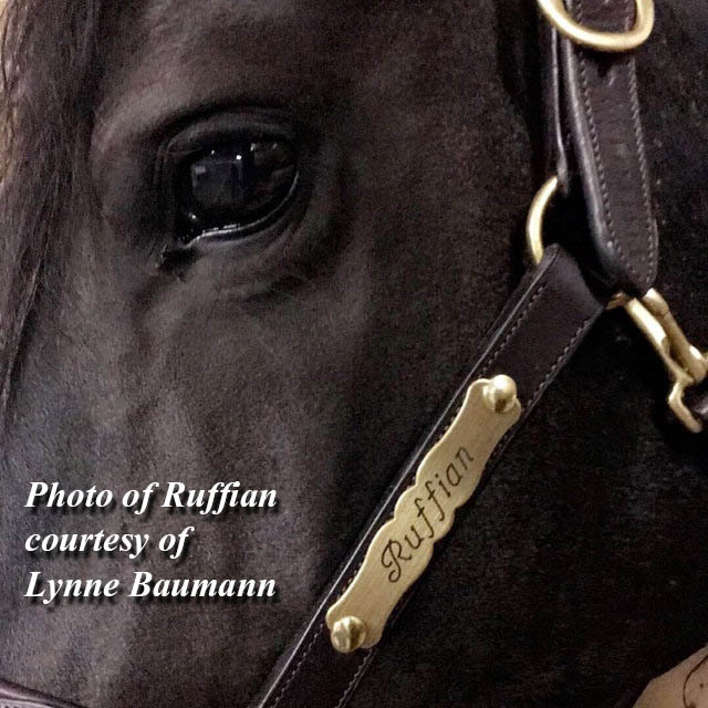HALTER PLATE THICK ORNATE LGE Solid Brass Custom Engraved Personalized Horse