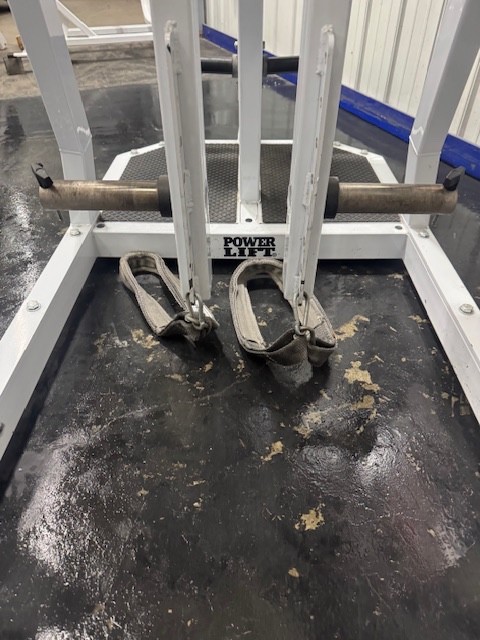 Power Lift | Posterior Chain Developer (FrankenHyper)