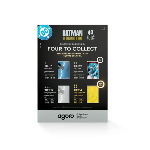 Batman: The Dark Knight Returns™ Blind Box (Single)