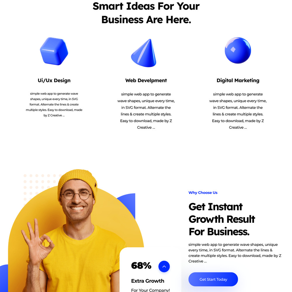 Web Design Business Website Design with Free VPS Web Hosting & Installation