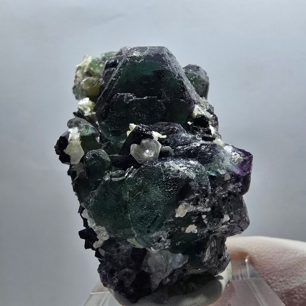 Phantom fluorite cube, hexagonal, Schörl tourmaline, muscovite Erongo, Namibia
