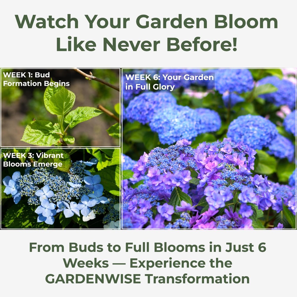 GARDENWISE Slow Release Hydrangea 12 OZ, Acidic Fertilizer