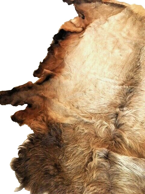 American Indian Elk Hide Robe