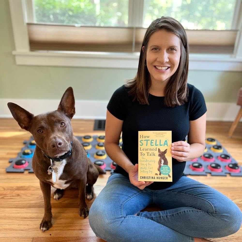 Dog Training Buttons - Christina's Guide