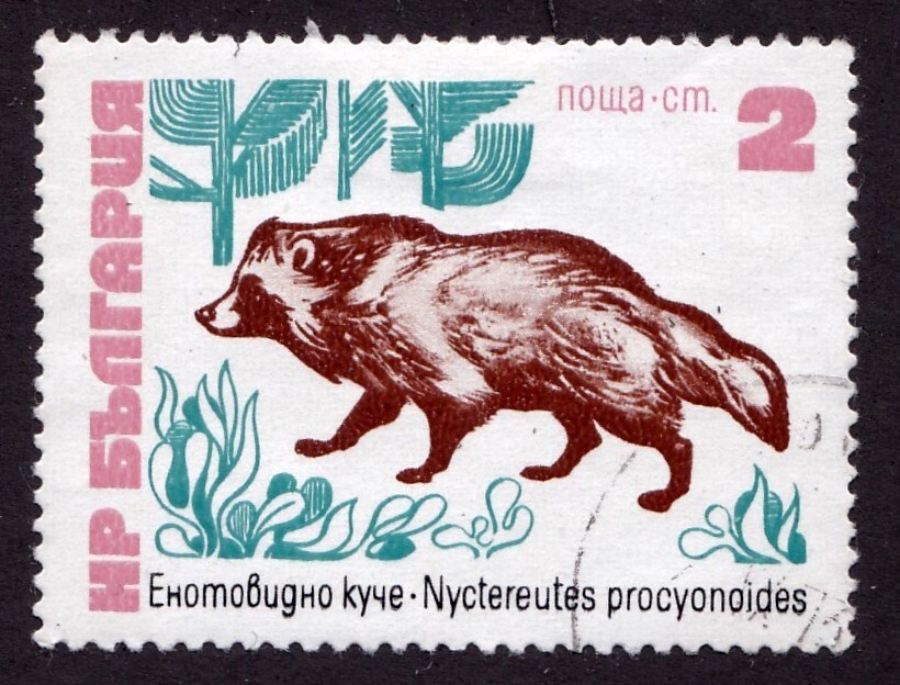 Bulgaria           2022           used