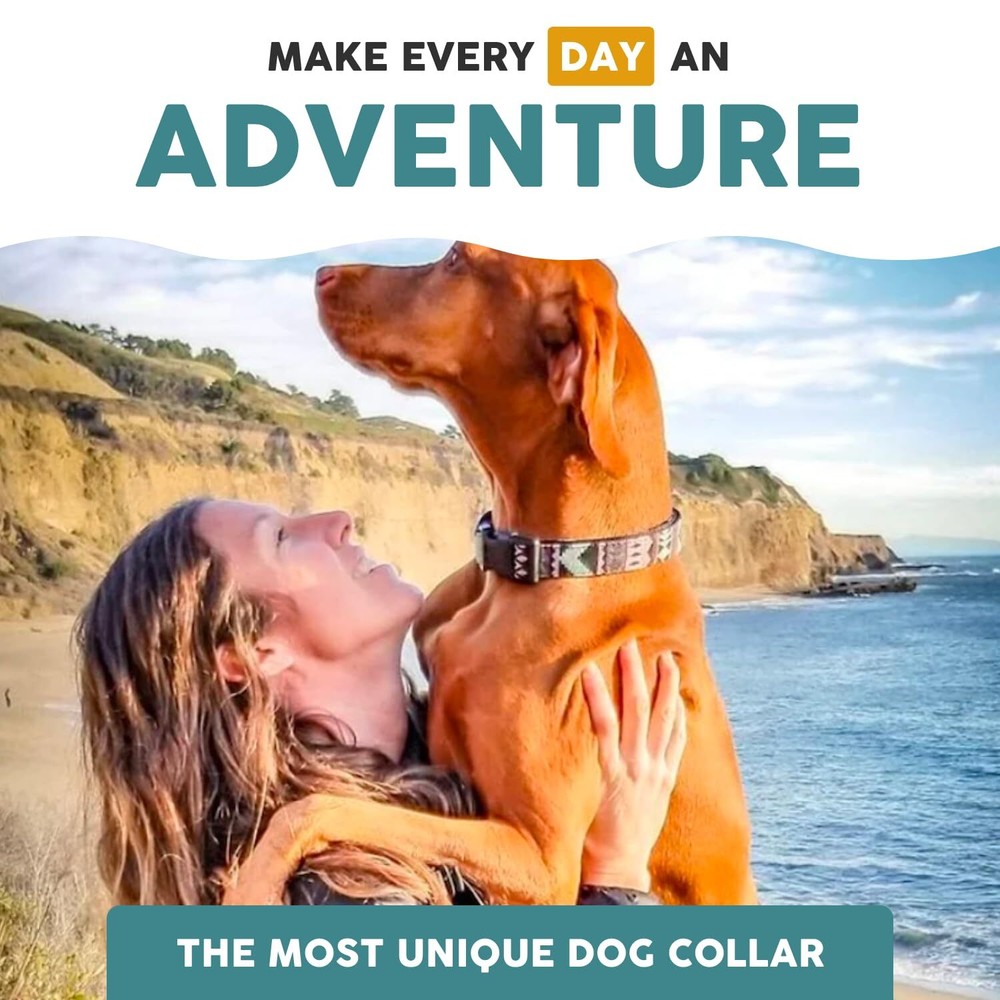Neoprene Dog Leash - Explorer