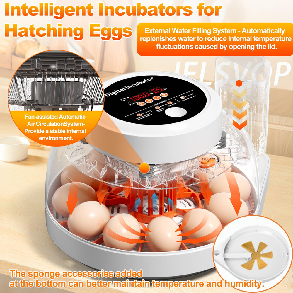 Upgraded Egg Incubator for Hatching Eggs, 12 Egg Capacity with Automatic Egg Tur