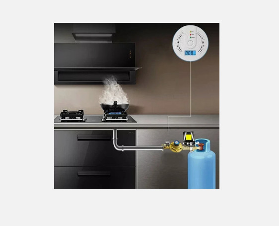 Carbon Monoxide Detector Warning Alarm Sensor LED Digital Battery Powered