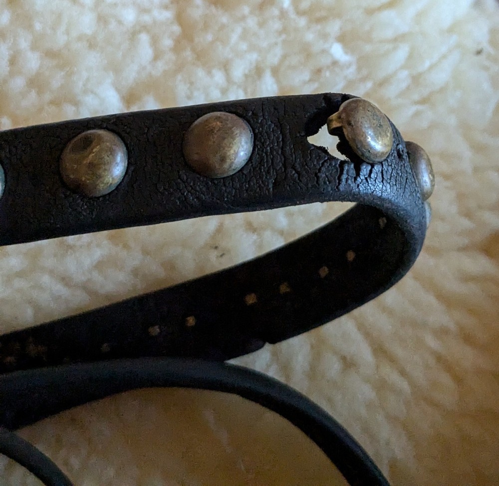 Vintage Driving Bridle