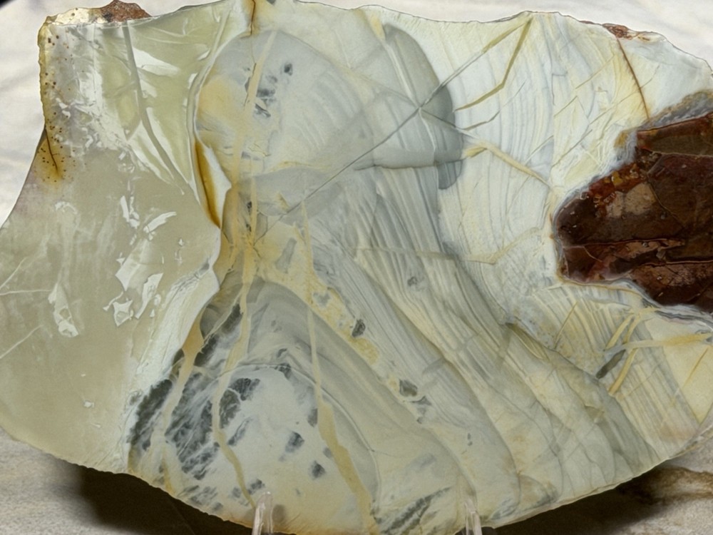 AAA+ Willow Creek Jasper Slab, Lot #273