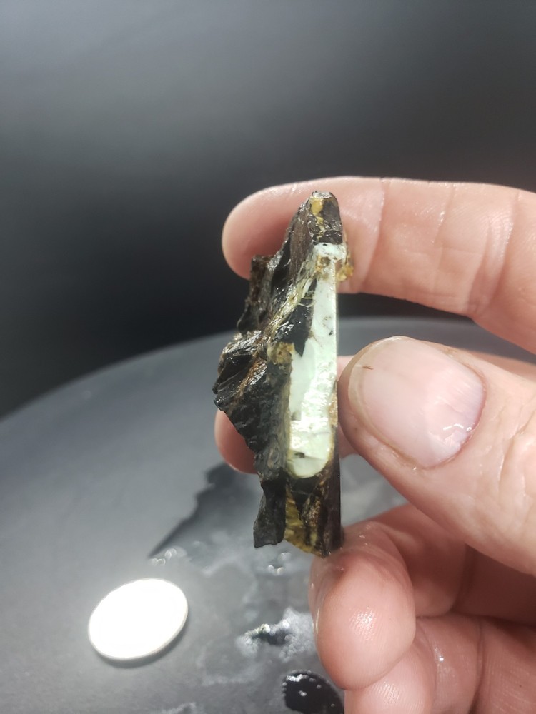 Nevada Gecko Variscite Slab