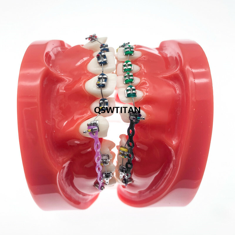 Dental Models For Teaching teeth model Dental teaching Orthodontic Model