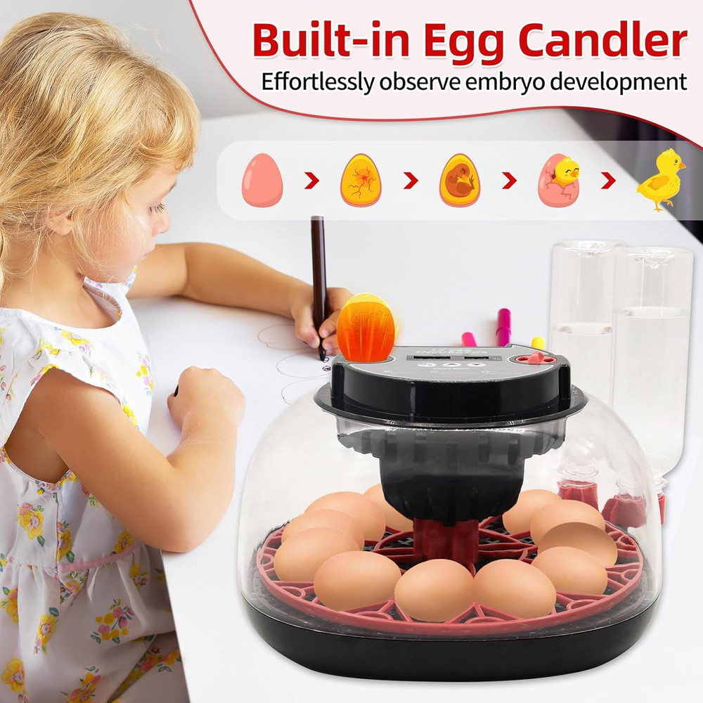 12 Egg Incubator with Humidity Display, Egg Incubator with Automatic Egg Turning