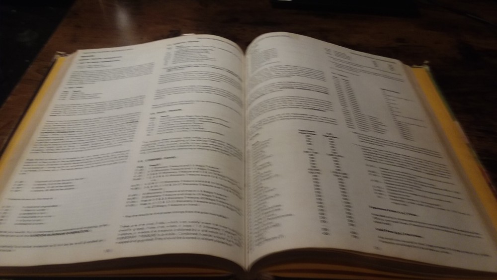 Advanced Dungeons & Dragons Dungeon Masters Guide 6th Alpha AD&D Vintage OOP