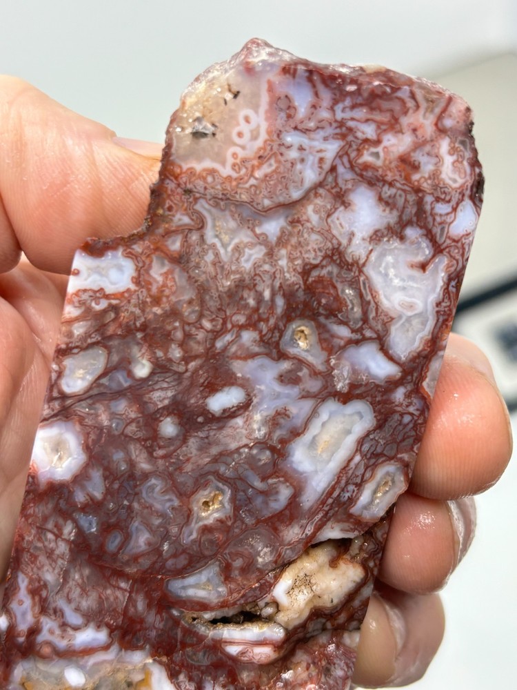 Mexican Red Moss Agate Slab Lapidary Cabbing Combo Ship Avail