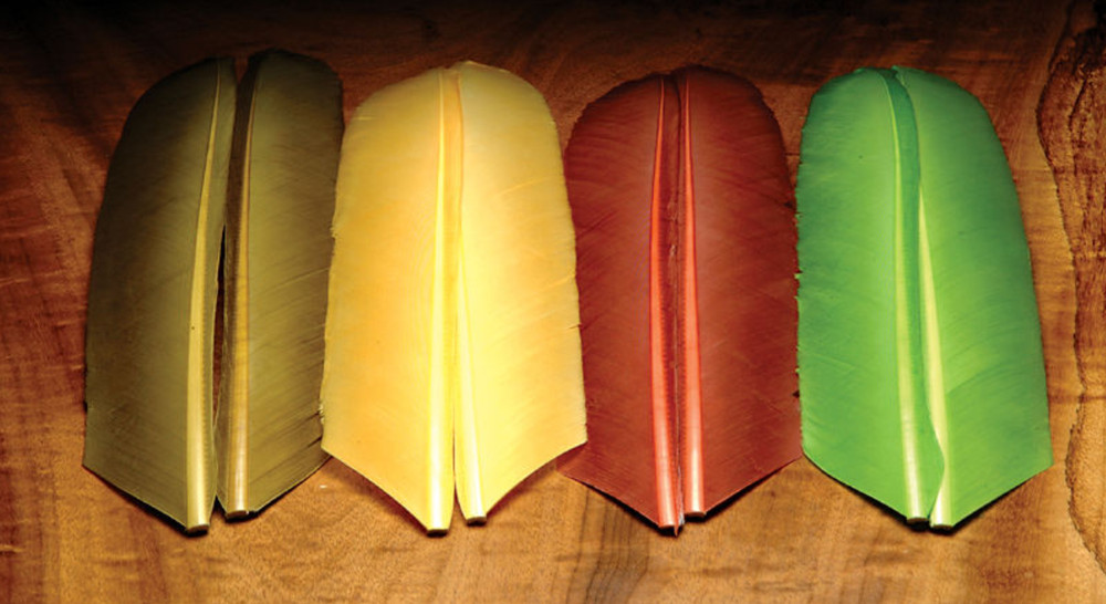 Hareline Dubbin' 1 PAIR TURKEY BIOT QUILLS Fly Tying Material