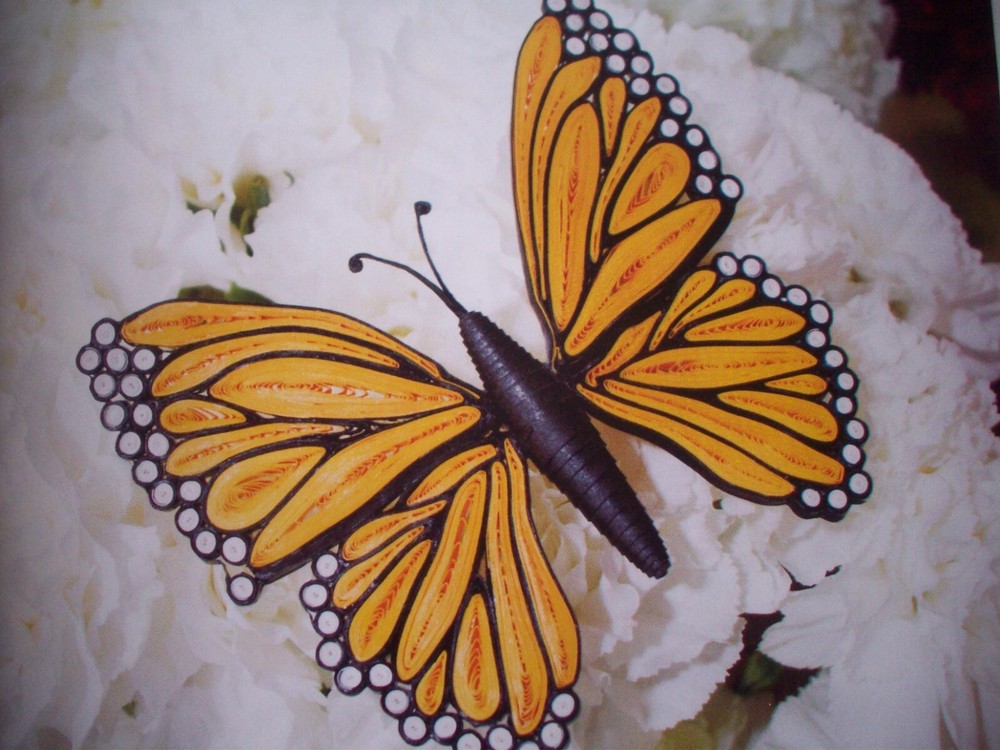 3D Quilling patterns & instruction flowers animals birds peacock bee elephant