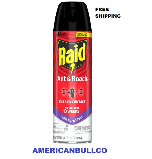 Raid Ant & Roach Killer Spray Lavender Scent for Listed Bugs 17.5 oz