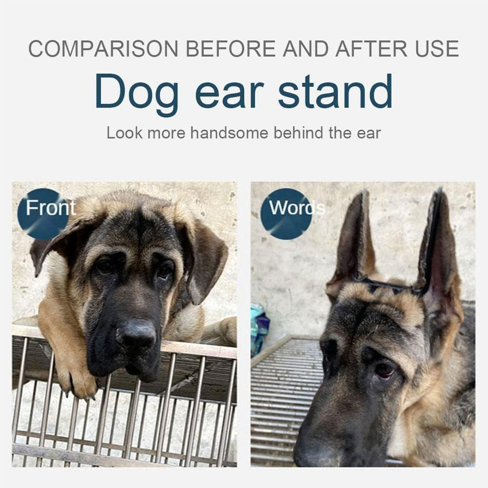Doberman Dog Ear Stand Support Tool,Dog Ear Posting Kit Fixed Correction Vertica